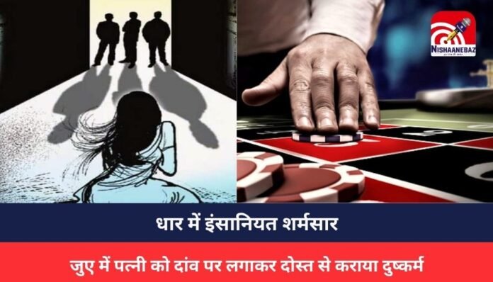 MP NEWS MP NEWS