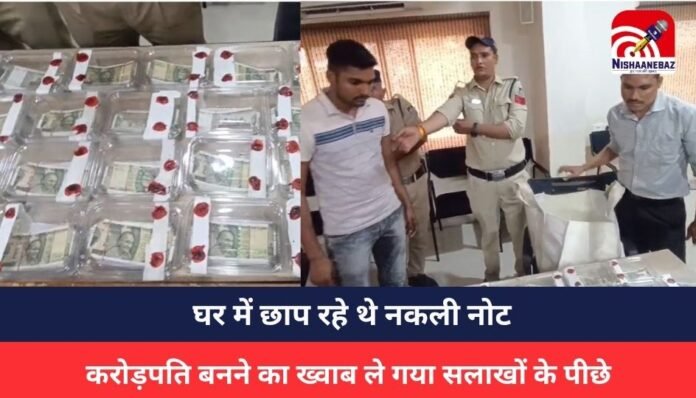 MP NEWS MP NEWS