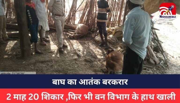 Chhindwara News