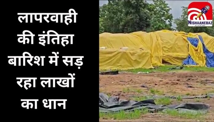 Bhanupratappur News Bhanupratappur News