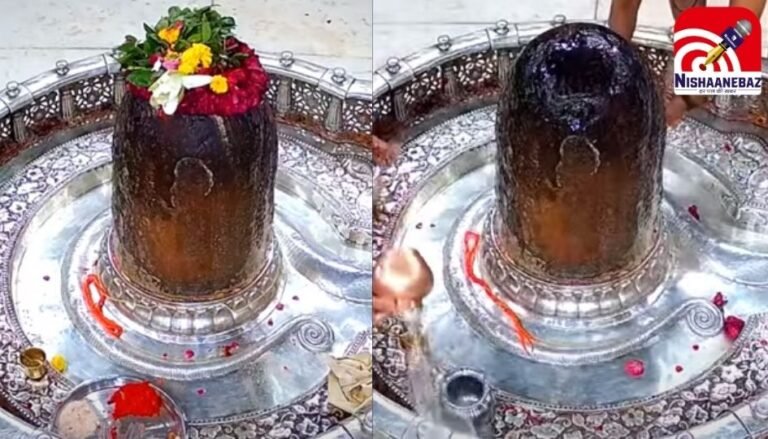 Bhasma Aarti
