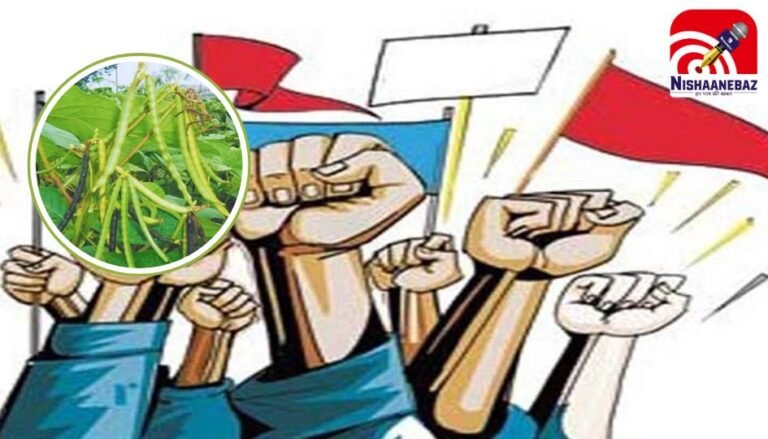 Bhopal News : MP में MSP विवाद पर किसान संघ सरकार से नाराज, 10 जून को आंदोलन का ऐलान…
