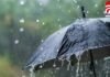 CG Monsoon Active : मानसून सक्रिय : 26 जून से पूरे छत्तीसगढ़ में भारी बारिश का अलर्ट…. CG Monsoon Active