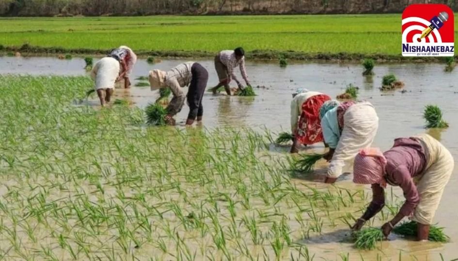 Chhattisgarh News : अब KCC कार्ड से 40 हजार तक की निकासी, किसानों को मिली नई बैंकिंग सुविधा…..