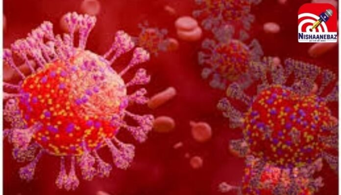 Corona Virus Corona Virus