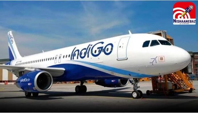 IndiGo IndiGo