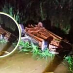 Khairagarh-Dhamdha Road Accident