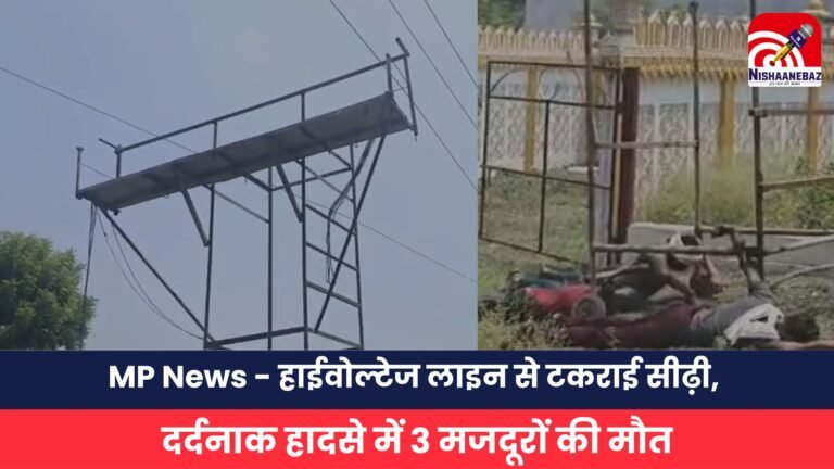 MP News - हाईवोल्टेज लाइन से टकराई सीढ़ी, दर्दनाक हादसे में 3 मजदूरों की मौत