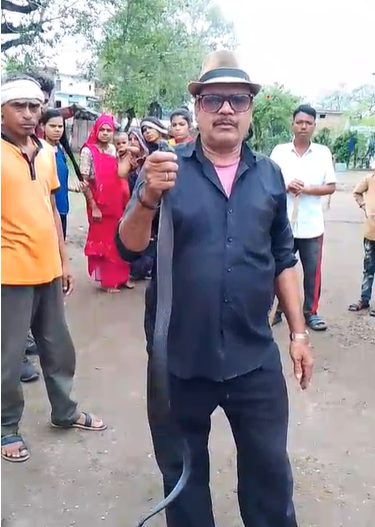 Sagar News : शिकार की तलाश में डीएफओ के बंगले में घुसा 6 फीट लंबा सांप, देखते ही कर्मचारियों में मची खलबली