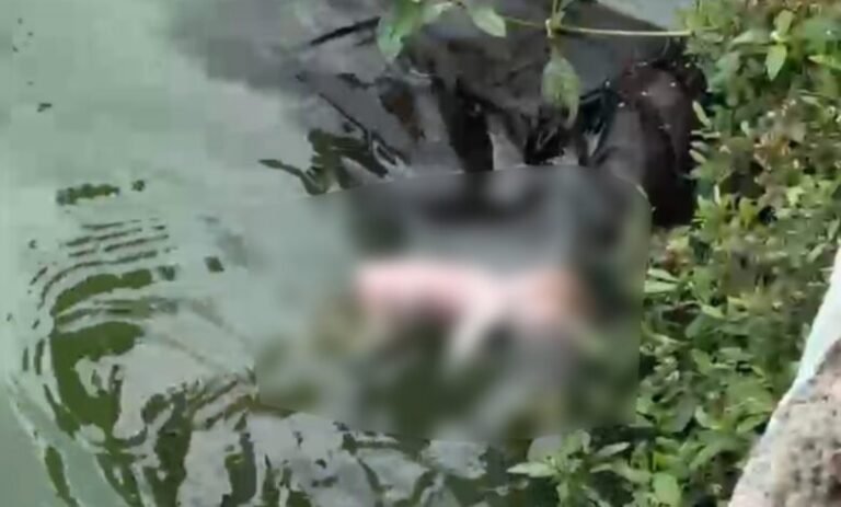 Raipur: बूढ़ा तालाब में नवजात का शव मिलने से सनसनी, पुलिस जांच में जुटी