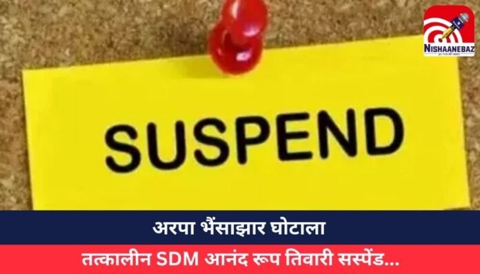 अरपा भैंसाझार घोटाला