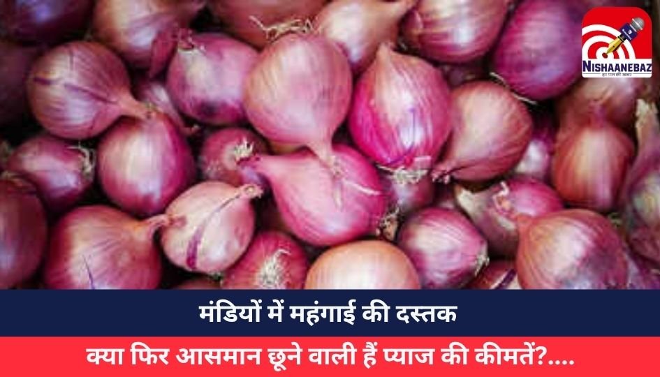Onion Price Hike : मंडियों में महंगाई की दस्तक, क्या फिर आसमान छूने वाली हैं प्याज की कीमतें?….