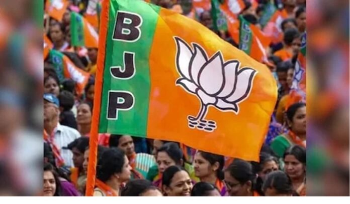 Politics News Politics News