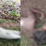 Chhatarpur News : चचेरे भाइयों ने किसान को पीट-पीटकर उतारा मौत के घाट....