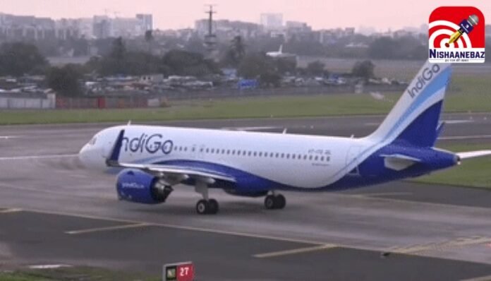 Indigo Indigo