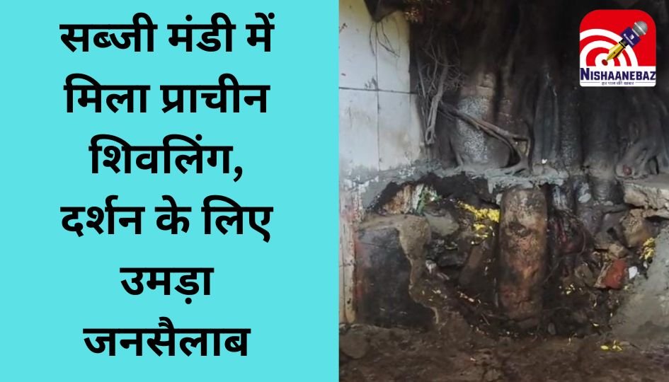 Jagdalpur News : सब्जी मंडी में मिला प्राचीन शिवलिंग, दर्शन के लिए उमड़ा जनसैलाब….