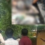 Korba News : महिला की अधजली लाश मिलने से सनसनी, हत्या की आशंका.....