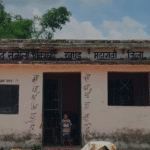 MP NEWS