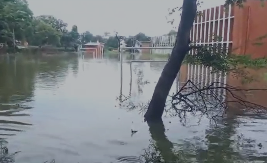 Tikamgarh News : टीकमगढ़ में स्कूल नहीं, बना जलाशय! नवोदय विद्यालय में भरा पानी, रसोई तक ठप