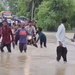 Niwari News