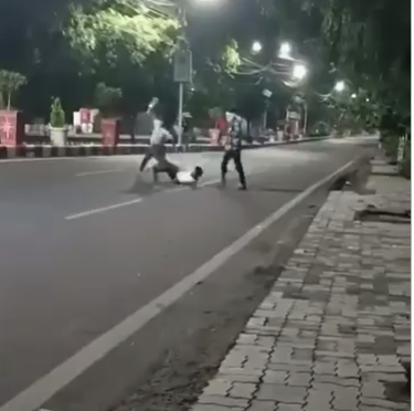 MP CRIME : सरेराह युवक पर जानलेवा हमला, अड़ीबाजी से तंग युवक पर तलवार-छुरी से वार, आरोपी ने सोशल मीडिया पर डाला वीडियो