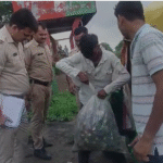 Bhind Crime