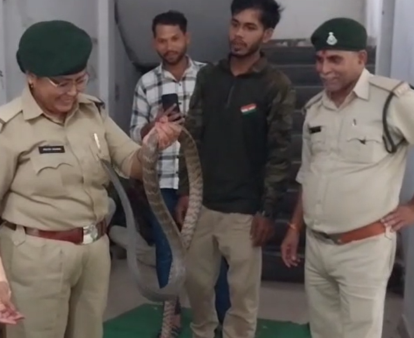 Jabalpur News : नाग पंचमी में 20 सपेरे गिरफ्तार, वन विभाग टीम ने 30 कोबरा का किया रेस्क्यू