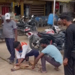 Sehore News