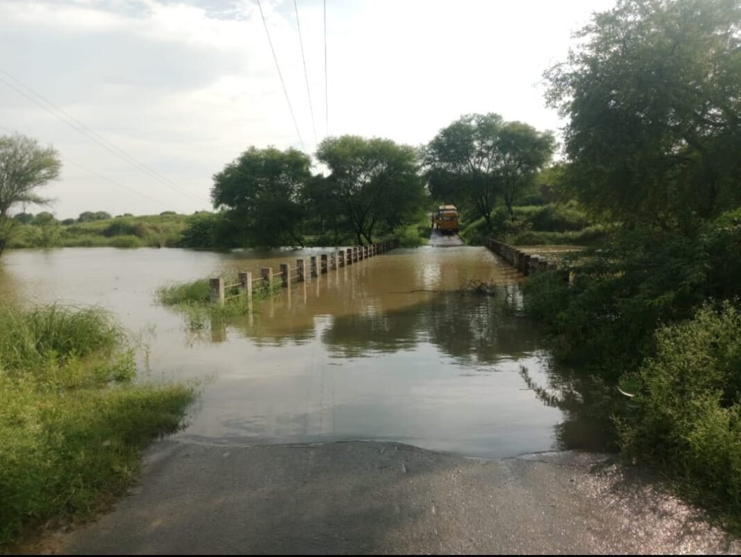 भिंड : लोहचरा में उफनाई पहुज नदी, आम रास्ते का पुल डूबा, आवागमन ठप