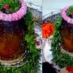 महाकाल भस्म आरती
