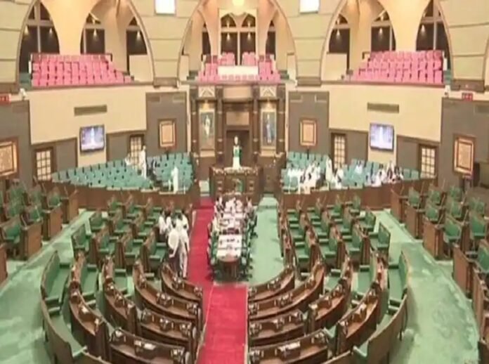 MP Assembly MP Assembly