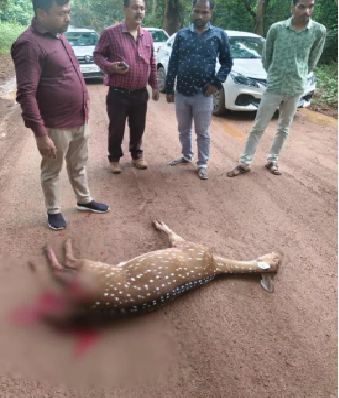 Kanger Ghati National Park : वन्यजीवों की जान से खेल, शिकारी मस्त, विभाग व्यस्त… कांगेर बना निशाना