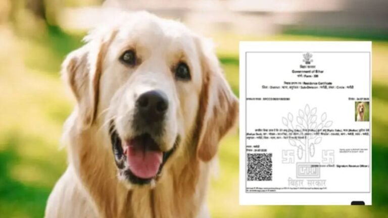 certificate : पटना से चौंकाने वाली खबर- पालतू कुत्ते को मिला निवास प्रमाण पत्र, तेजस्वी यादव ने  कसा तंज- बिना घूस कुछ नहीं होता