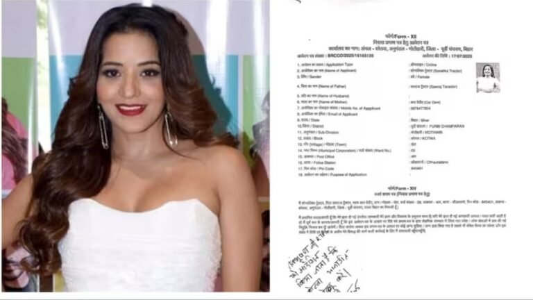 nishaanebaz.com (50)