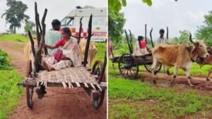 MP News : बैलगाड़ी बनी ‘जननी एक्सप्रेस’ : गुना के आदिवासी गांव में सड़क न होने से गर्भवती महिला ने रास्ते में दिया बच्चे को जन्म, तस्वीर हुई वायरल 1 nishanebaaz.com