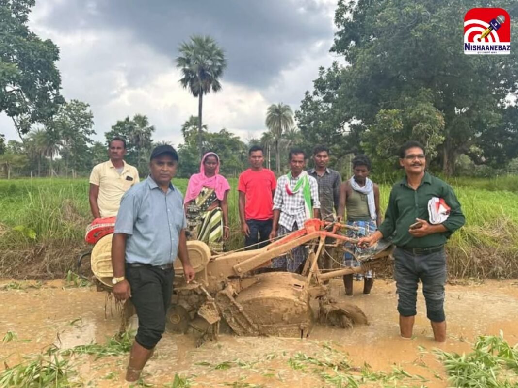 बचेली: जैविक सुगंधित धान की खेती को बढ़ावा, श्री विधि से खेती का नया अभियान