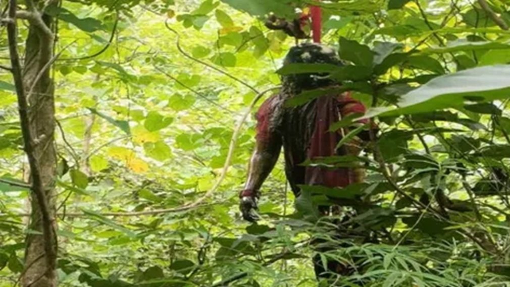 CG News : जंगल में पेड़ से लटके मिले युवक-युवती के शव, प्रेम संबंध से जुड़ा मामला होने की आशंका