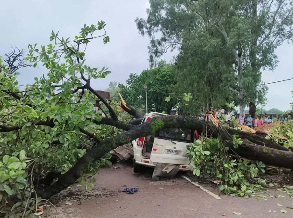 UP Accident : दिल दहला देने वाला हादसा, स्कार्पियो वाहन पर गिरा पेड़, रिटायर्ड डीएफओ और पत्नी की मौत