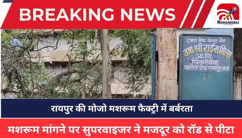 CG NEWS: रायपुर की मोजो मशरूम फैक्ट्री में बर्बरता: मशरूम मांगने पर सुपरवाइजर ने मजदूर को रॉड से पीटा, इसी फैक्ट्री से 97 श्रमिक हुए थे रेस्क्यू