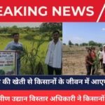 Oil palm News