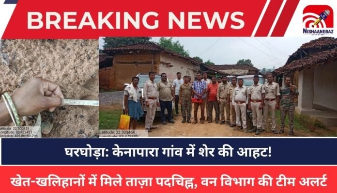 CG NEWS CG NEWS