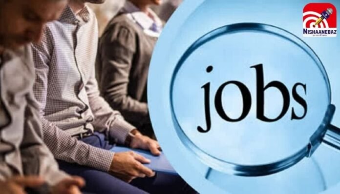 CG Job Alert CG Job Alert