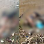 Jabalpur Crime News