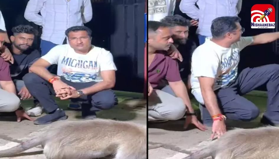 Kawardha News : कबूतर कांड के बाद बंदर विवाद! कलेक्टर-एसपी के बीच तालमेल टूटा, आधी रात बंगले पर घेराव…