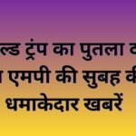 MP Breaking News