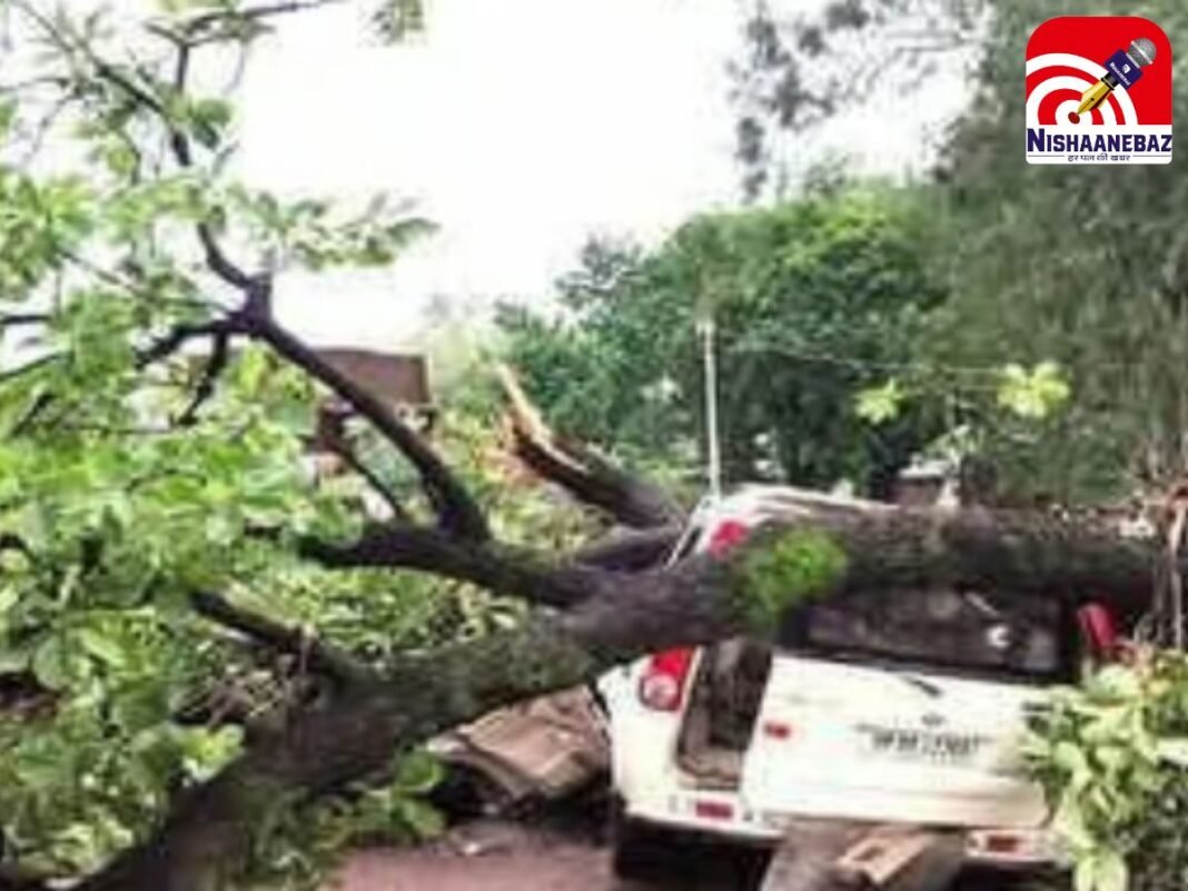 MP Satna News : चलती स्कॉर्पियो पर गिरा महुआ का पेड़, रिटायर्ड IFS अधिकारी और पत्नी की मौत…