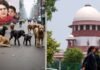 ‘Animal Love’ : राहुल गांधी के बाद प्रियंका गांधी का ‘पशु प्रेम’, सुप्रीम कोर्ट के आवारा कुत्तों वाले आदेश पर जताई चिंता