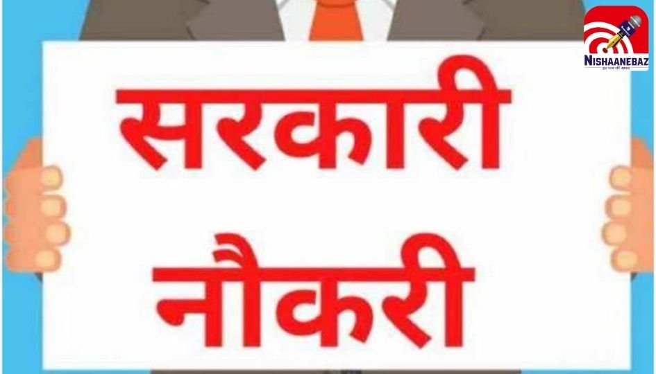 Sarkari Naukari