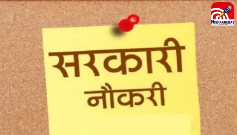 Sarkari Naukari