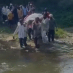 Niwari News